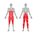 EN001 SQUAT - Image 4