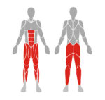 EN003 LEG EXTENSION - Image 3